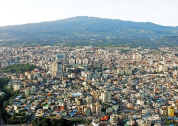 제주시, 2026년산 극조생감귤 출하 전 품질검사제 시행 기사 이미지